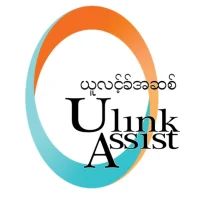 ulink-assist